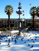 Plaza de Armas, Arequipa - where pigeons come to vacation