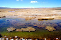 The barren Peruvian altiplano