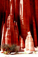 Cathedral spires, Talampaya National Park, near La Rioja, Argentina