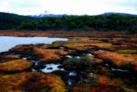 Lagune Negro, Tierra del Fuego National Park, Argentina