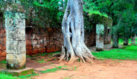 Jungle-ravaged San Ignacio mission, Argentina
