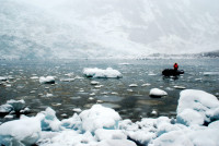 Pia fjord, Beagle Channel, Tierra del Fuego, Chile