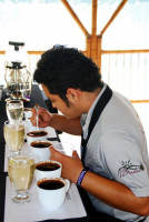 Sebastian and his highly-trained taste buds, cafe la Morelia, Armenia, Colombia