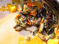 Caterpillar stew, Old Quarter, Bobo-Dioulasso, Burkina Faso, Africa
