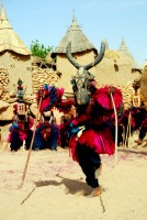 Dogon mask dance, village of Tireli, Dogon Country, Mali, Africa