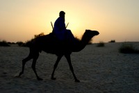 Tuareg cameleer at sunset, Sahara Desert, Timbuktu, Mali, Africa