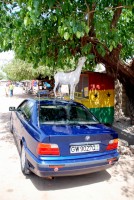 Enterprising goat, Wa, Ghana, Africa