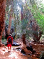Struggling to our tent, Terjit oasis, Mauritania, Africa