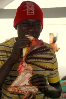 A slightly over-enthusiastic fisherman at the Nouakchott fish market, Mauritania, Africa