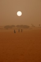 Saharan sandstorm, Mauritanian-Western Sahara border, Africa