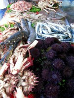 A cornucopia of temptation, Essaouira fish market, Morocco, Africa