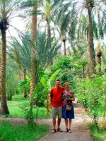 Trespassing in a private palmeraie, Tozeur, Tunisia, Africa