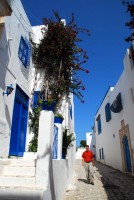 Ambling along the blue and white streets of Sidi Bou Said, Tunisia, Africa