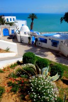 Cafe Sidi Chebaane, Sidi Bou Said, Tunisia, Africa