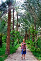 Trespassing in a private palmeraie, Tozeur, Tunisia, Africa