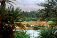 Draa River, Draa valley, Morocco, Africa