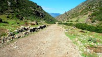 The trail to Jebel el-Kelaa - maybe! Rif mountains, Morocco, Africa