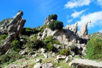 Jagged, rocky terrain, Rif mountains, Morocco, Africa