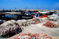 Houmt Souq harbor, Djerba, Tunisia, Africa