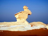 The rabbit, White Desert National Park, Egypt, Africa