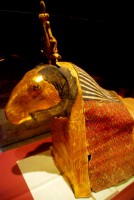 Mummified sheep, Nubian Museum, Aswan, Egypt, Africa