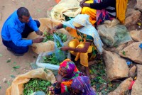 Businessman pays for his chat fix, Harar, Ethiopia, Africa