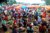 Market day, Jinka, southwest Ethiopia, Africa