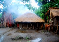 Smoke escapes through the thatch in this hut in the Ari village of Rocky, Lower Omo Valley, Ethiopia, Africa
