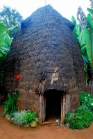 Beehive hut, Dorze village, southwest Ethiopia, Africa