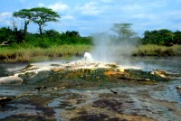 Sempaya hot springs, Semuliki National Park, Uganda, Africa